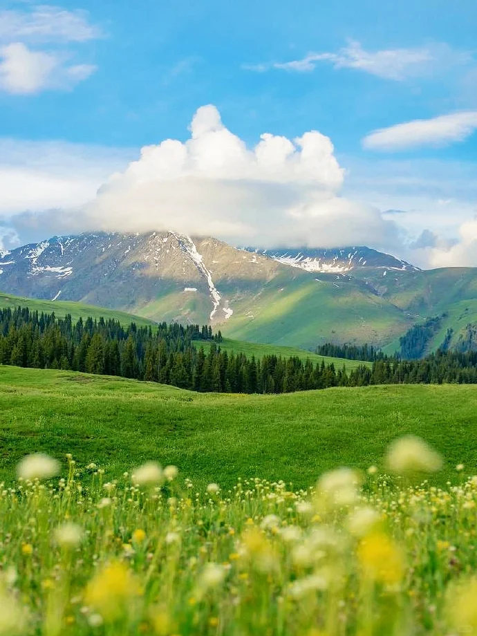 4-6月新疆旅游9天4000💰北疆纯玩全攻略