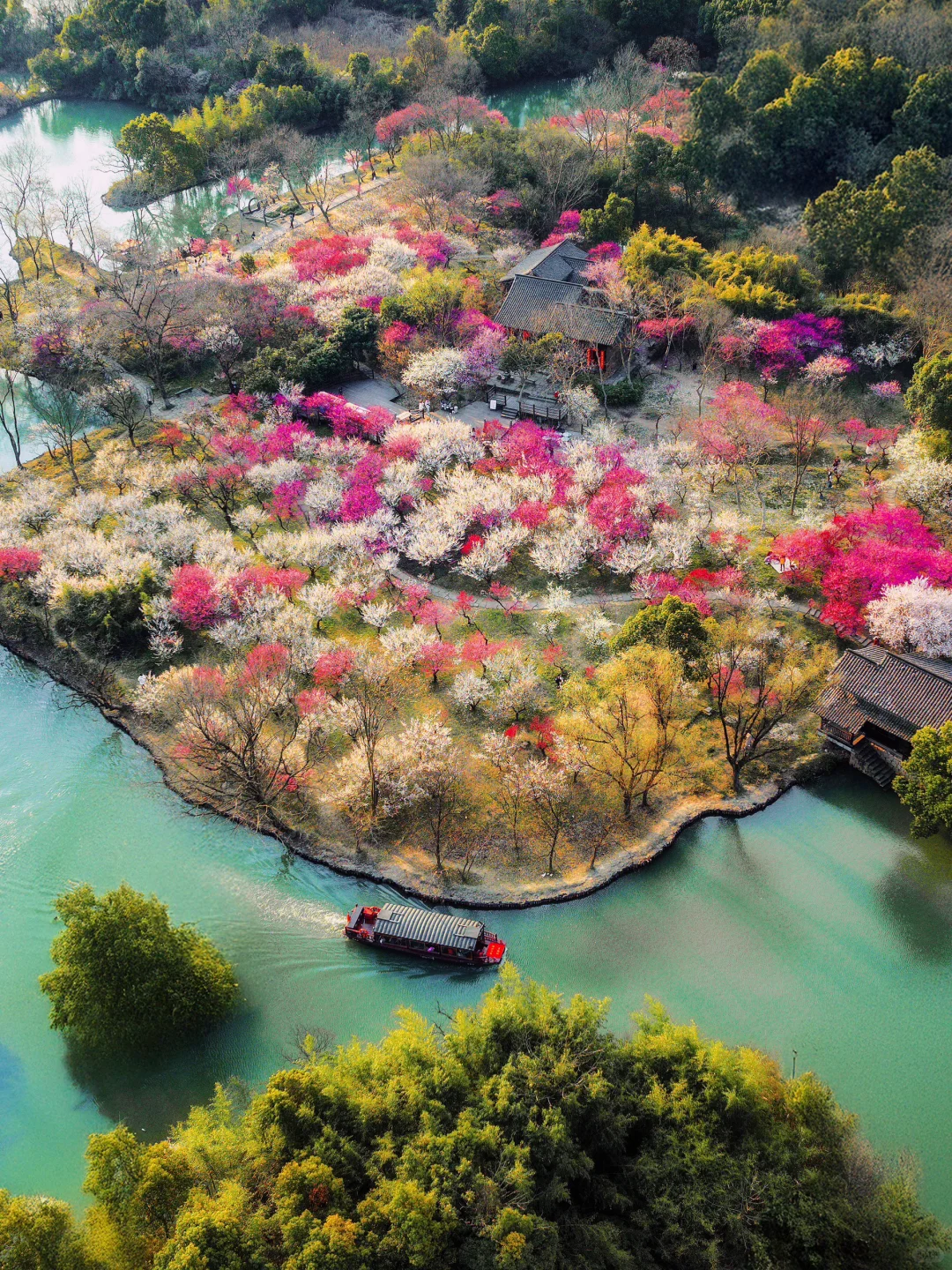 2月来杭州,我只推荐你去一个地方‼️