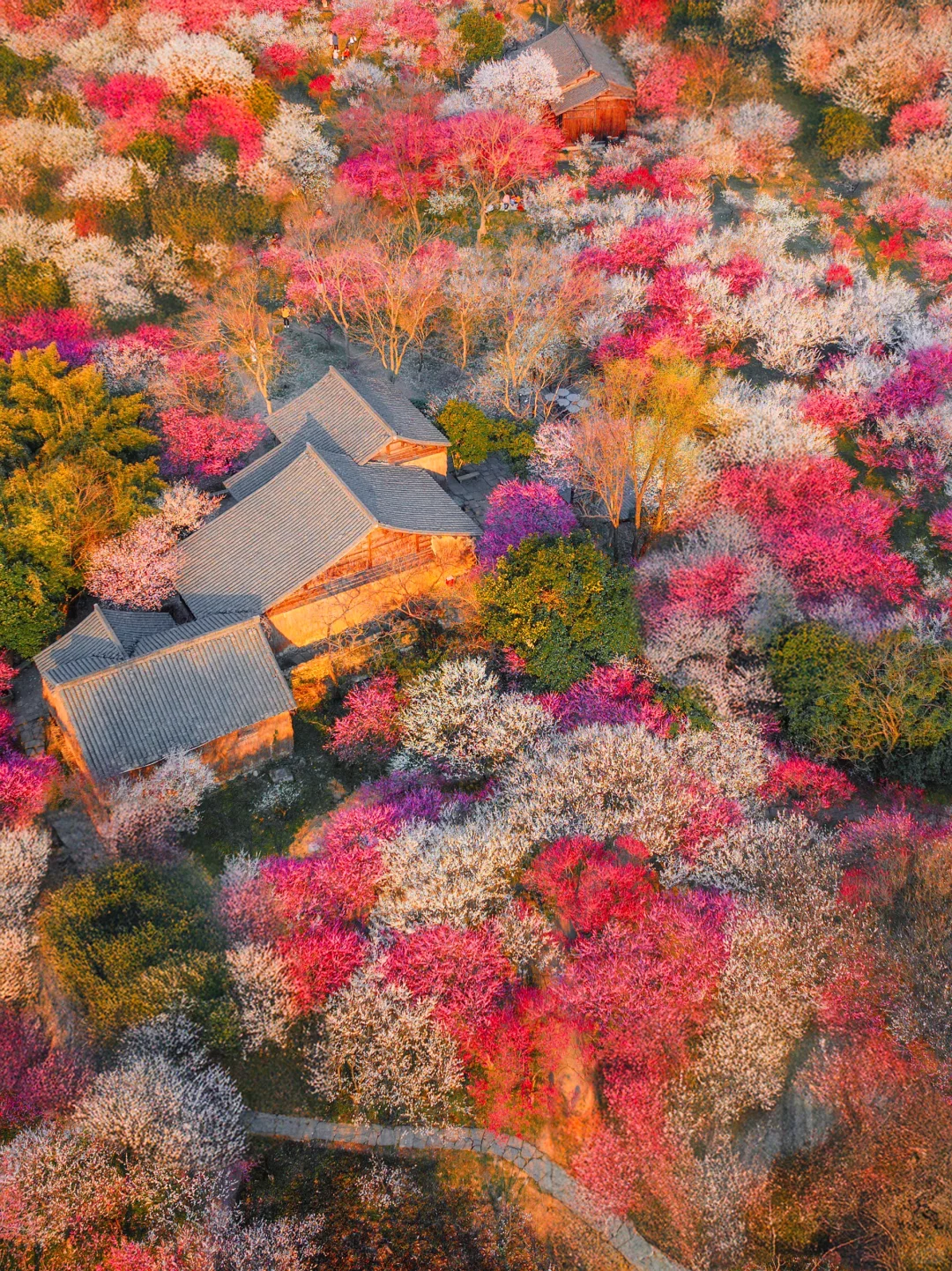 2月来杭州,我只推荐你去一个地方‼️