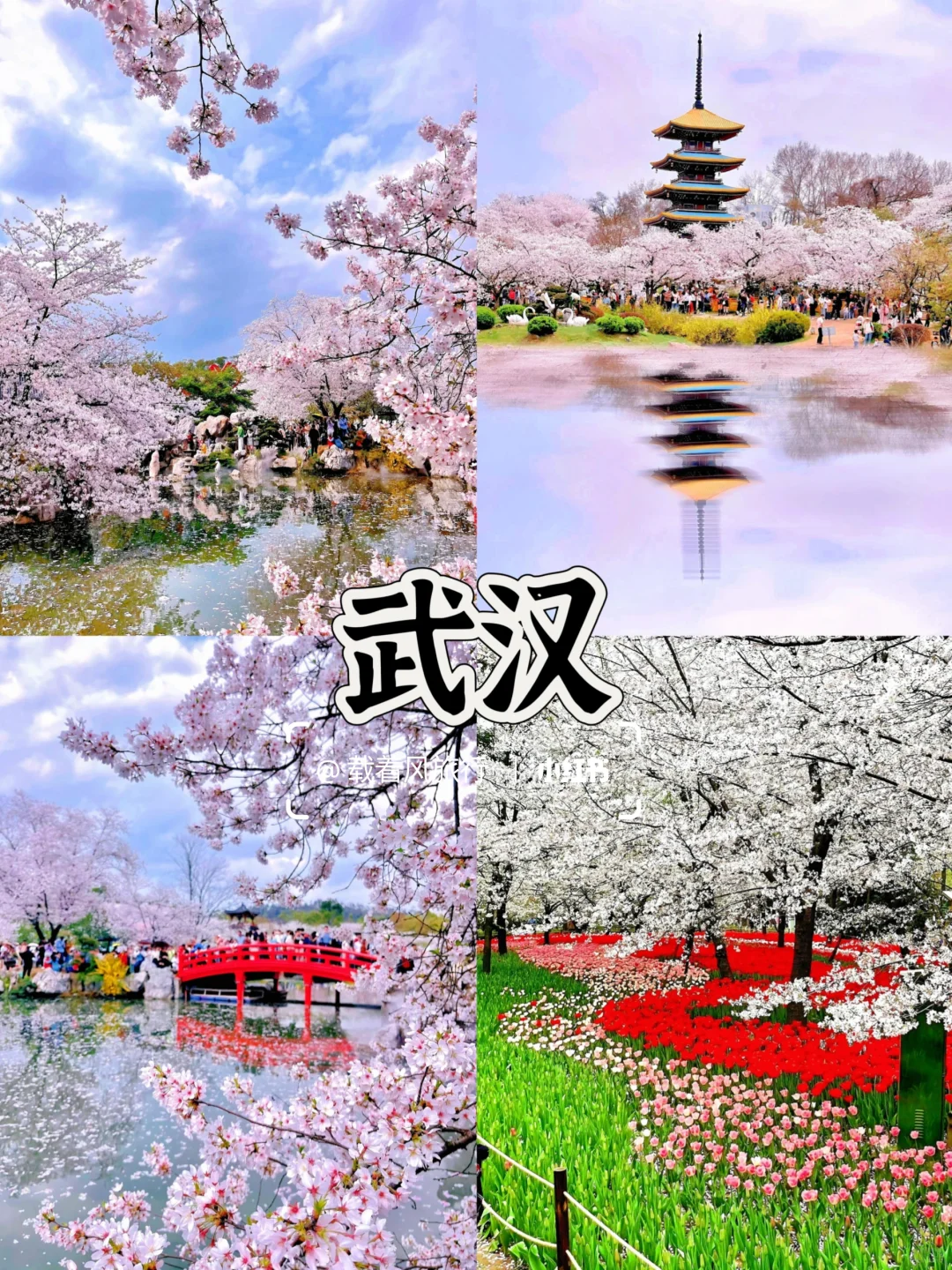 3-4月春季适合穷游的5大城市