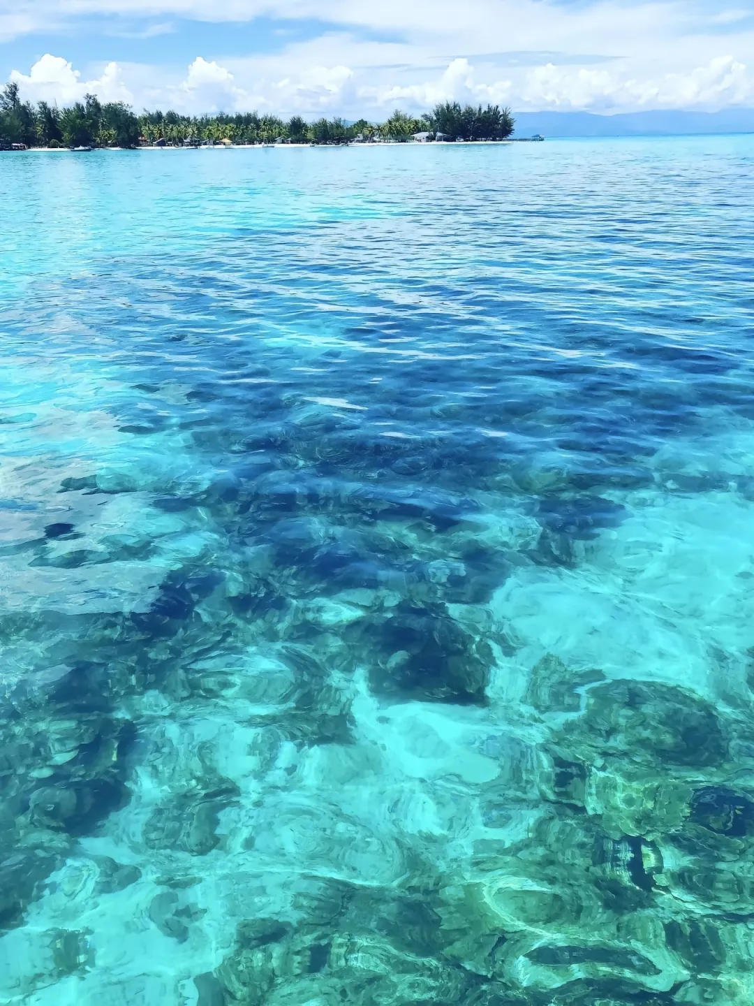 马来西亚亚庇 和仙本那 旅游攻略～