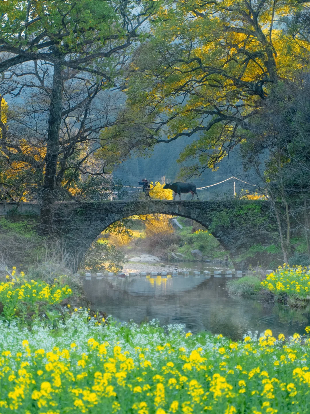 迄今为止，我最喜欢的春日小城出现了！！