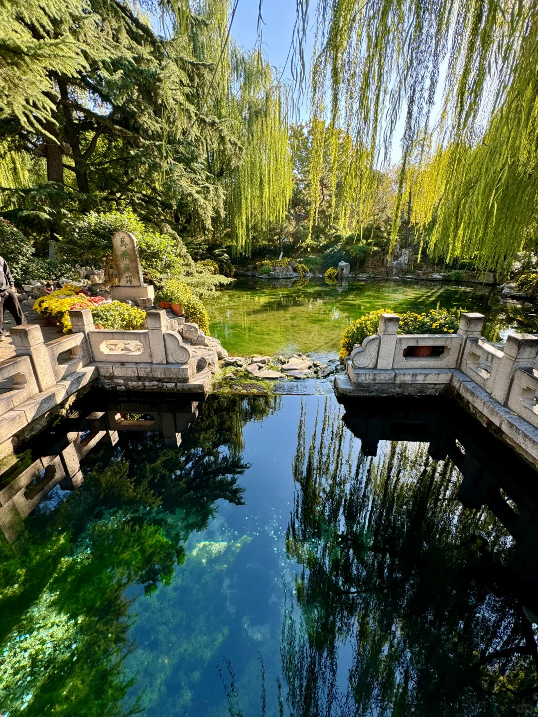 冬天来济南就走这条泉水city walk路线!