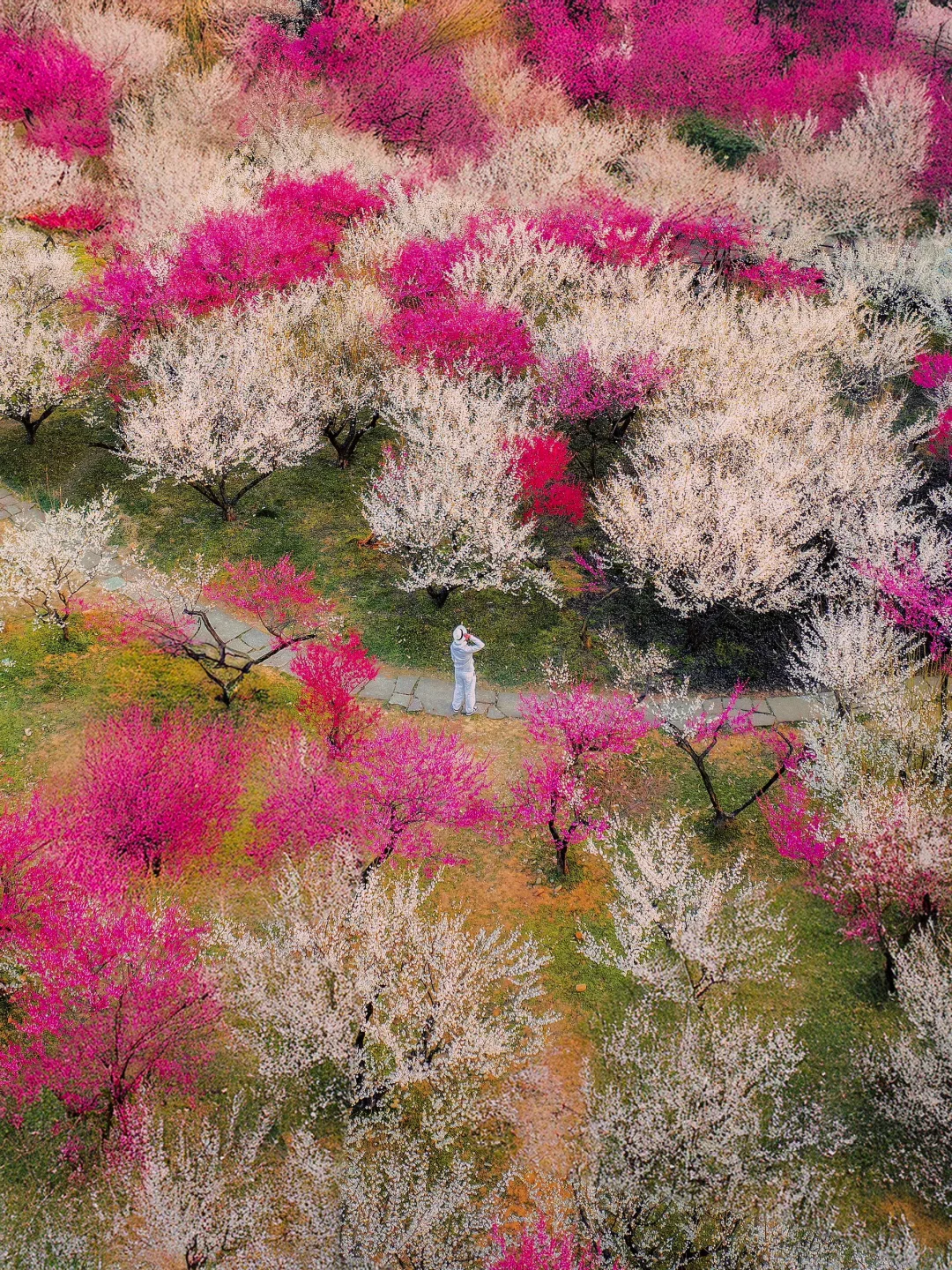 2月来杭州,我只推荐你去一个地方‼️