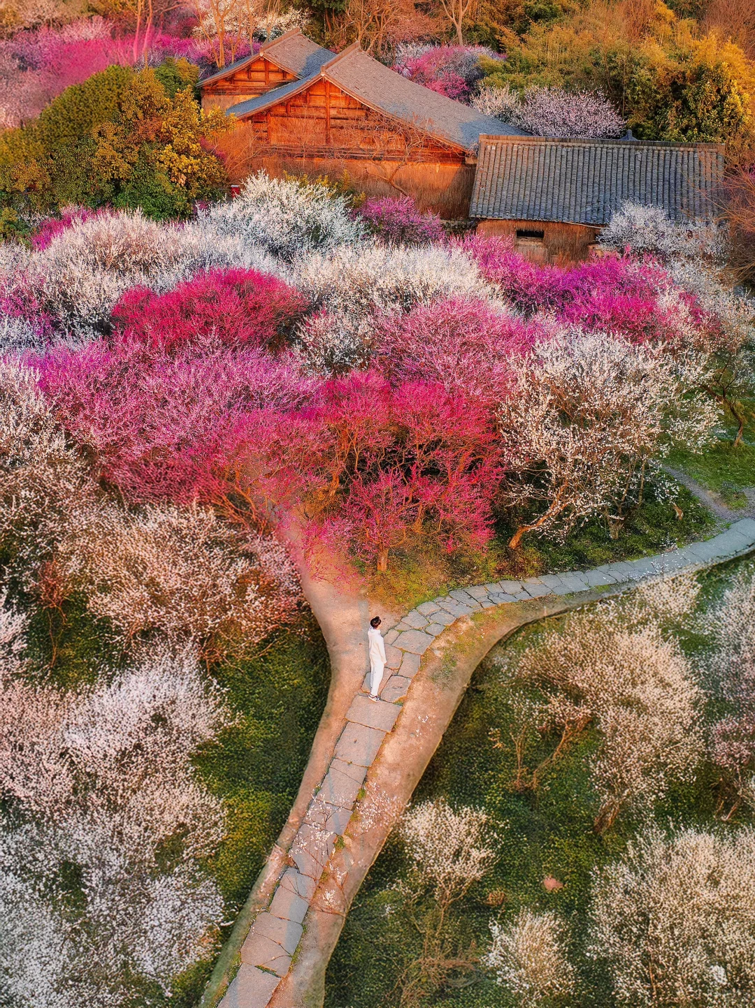 2月来杭州,我只推荐你去一个地方‼️