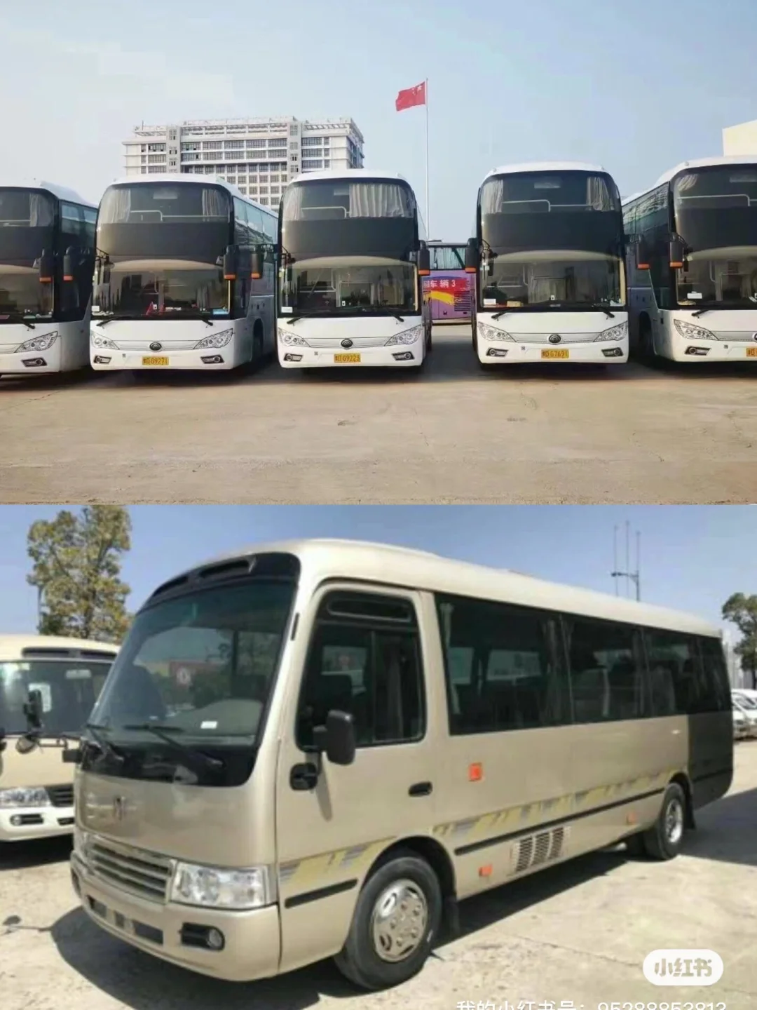 成都旅游包大巴车最全攻略❗️不踩坑