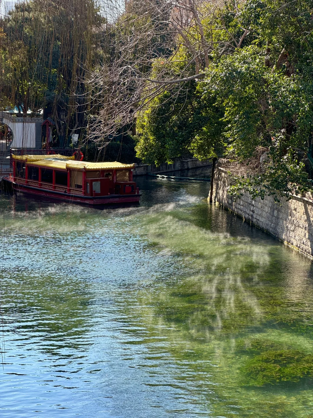 冬天来济南就走这条泉水city walk路线!