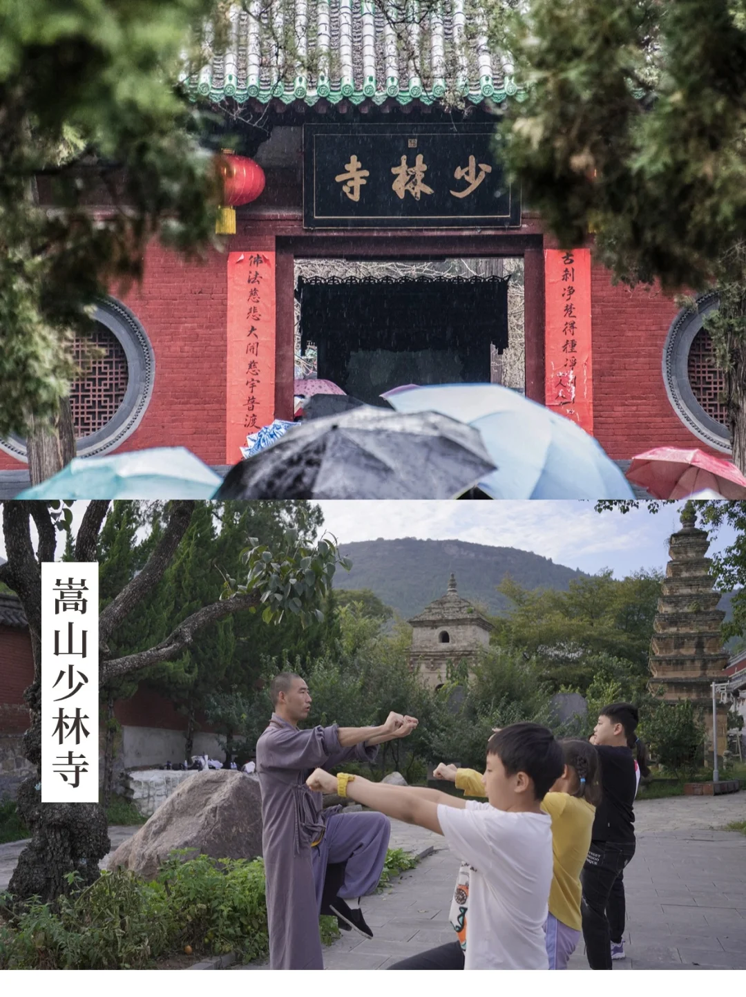 带娃到河南看历史‼️路线这样规划才深度~