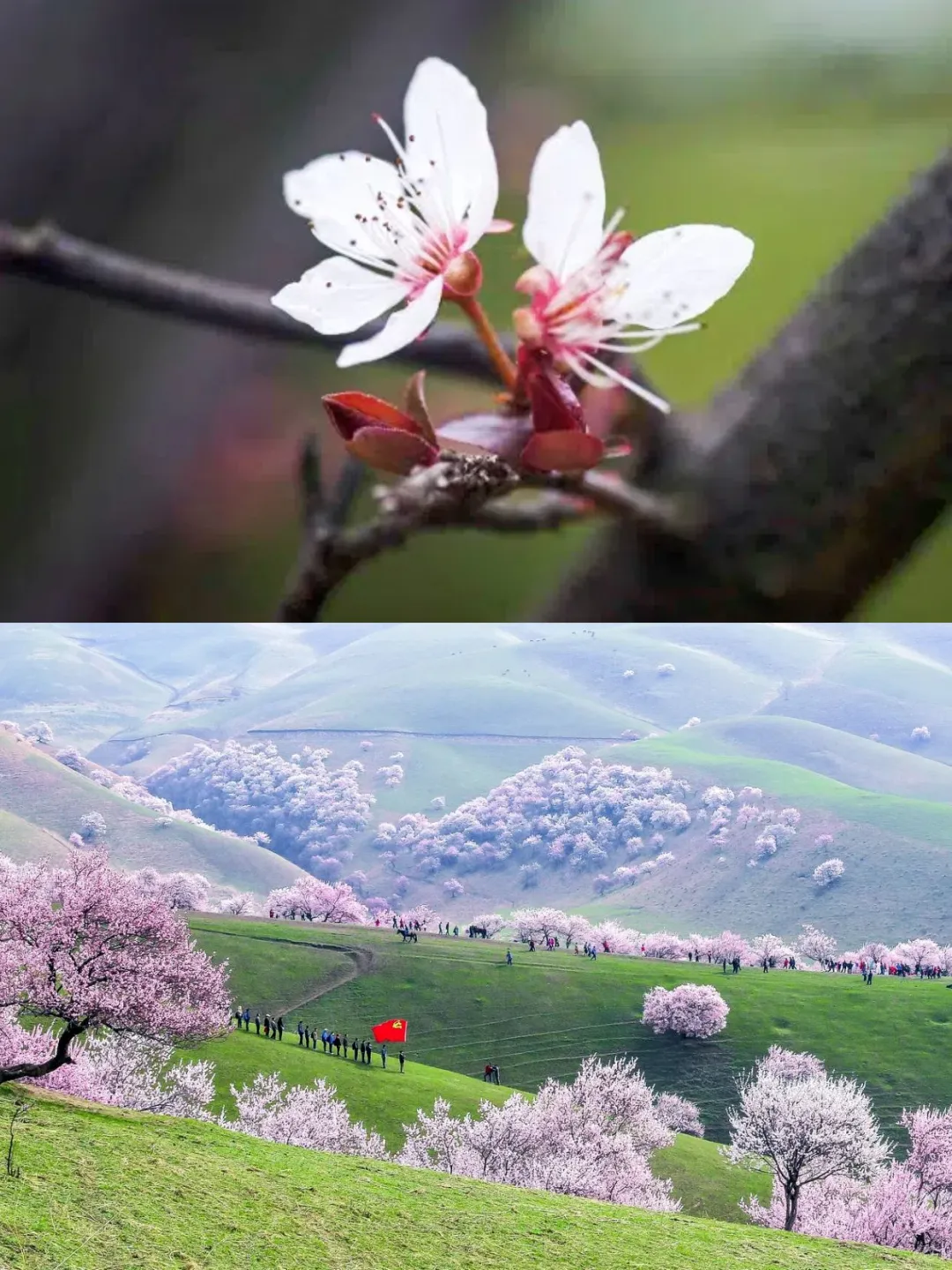 🔥3-4月新疆旅游 没这份攻略大全你会哭晕