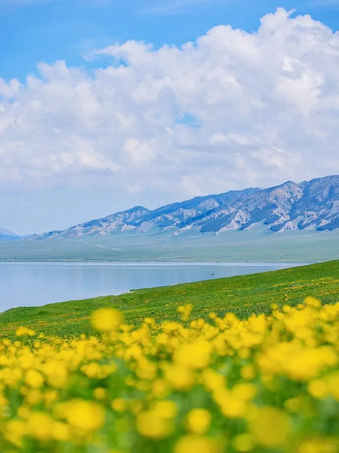 4-6月新疆旅游9天4000💰北疆纯玩全攻略