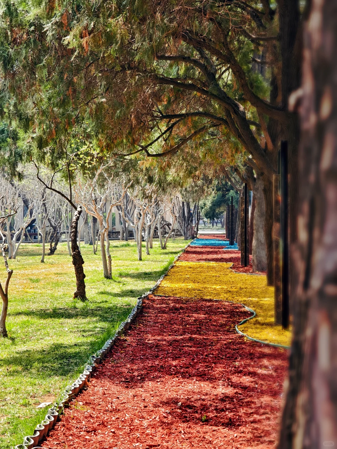 史上从未更名的城，千年赵国武灵丛台等你来