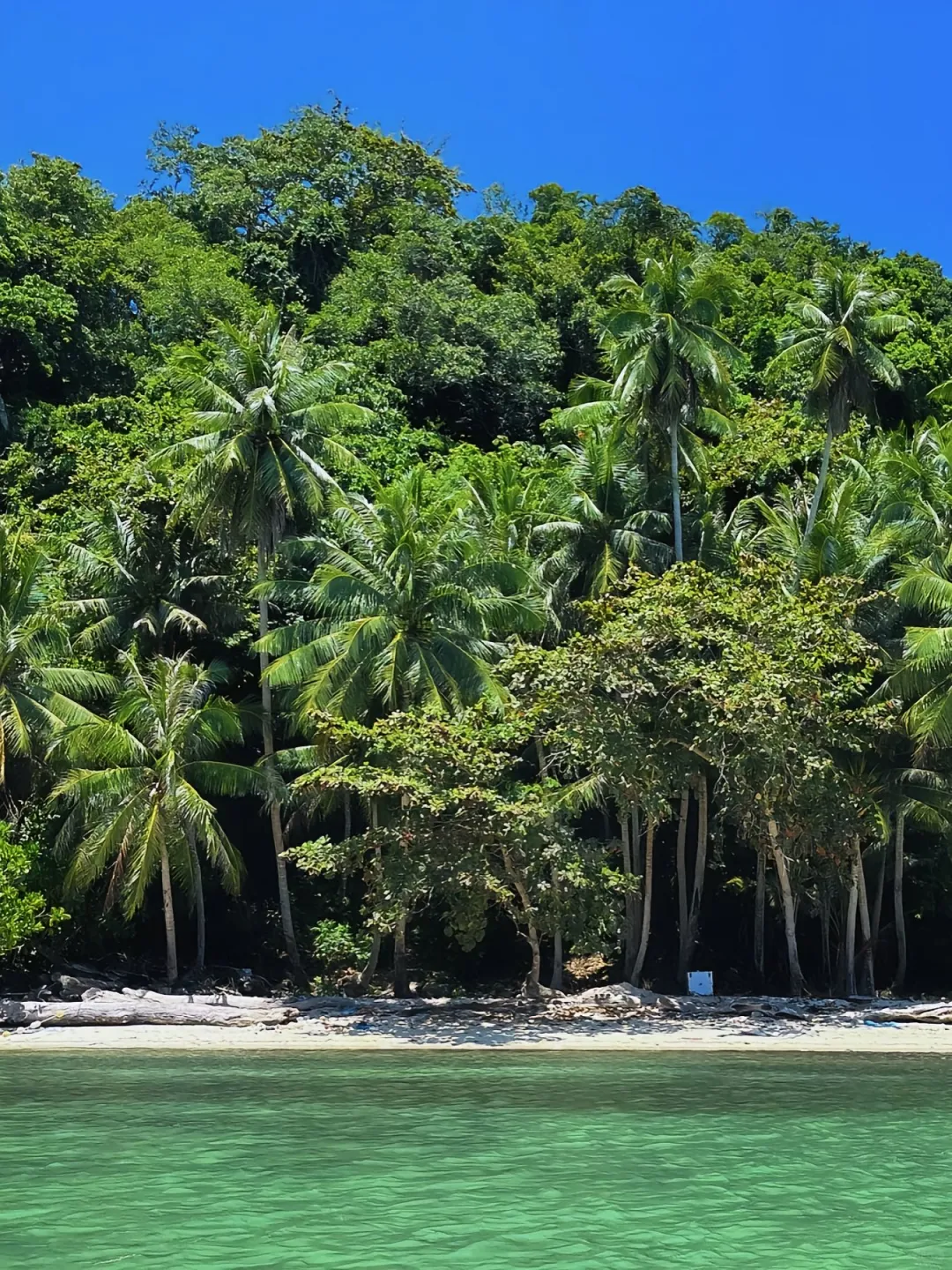 马来西亚亚庇 和仙本那 旅游攻略～