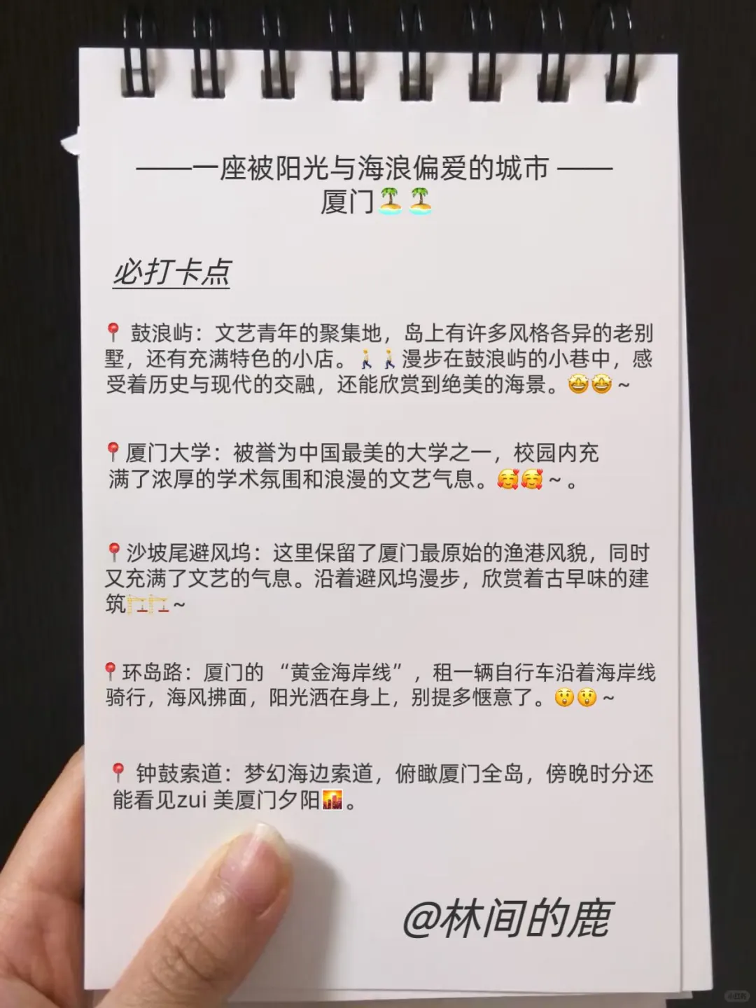 厦门以回❗️❗️连夜整理的厦门攻略（加强版）