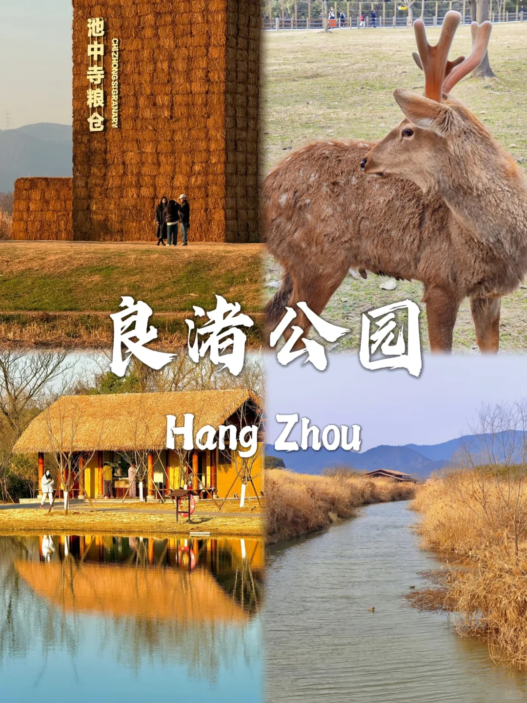 杭州必去9个景点❗❗旅行前必看❗❗