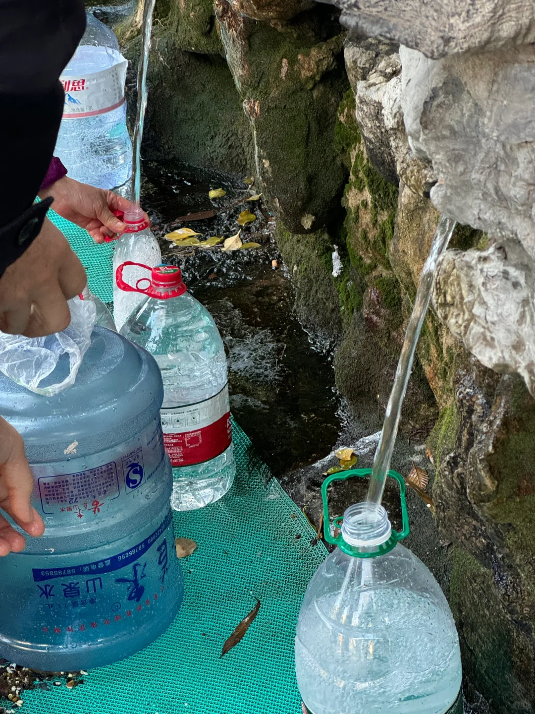 冬天来济南就走这条泉水city walk路线!