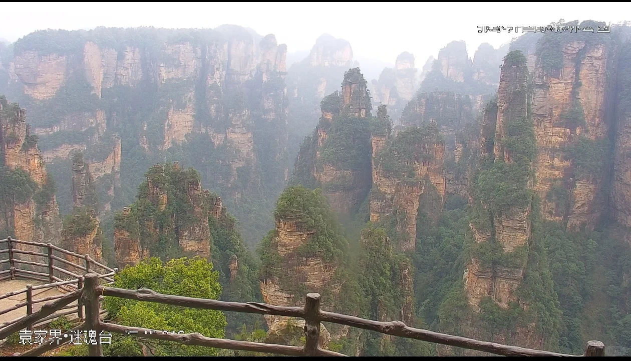 张家界景区实况2025年3月1日