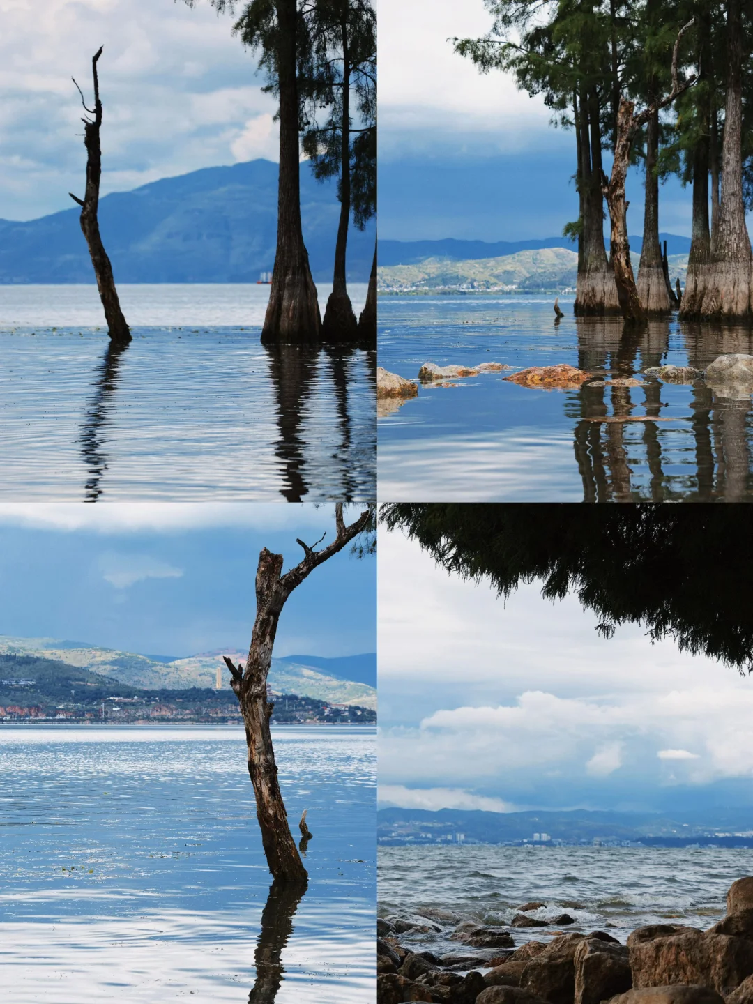 姐妹们，云南旅游资深版攻略来啦！！！！