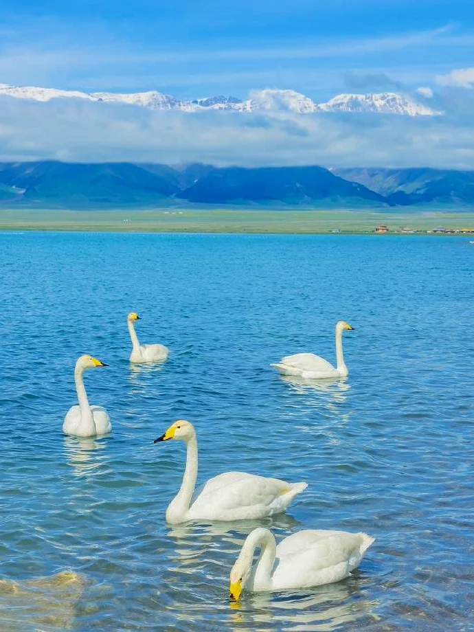 4-6月新疆旅游9天4000💰北疆纯玩全攻略