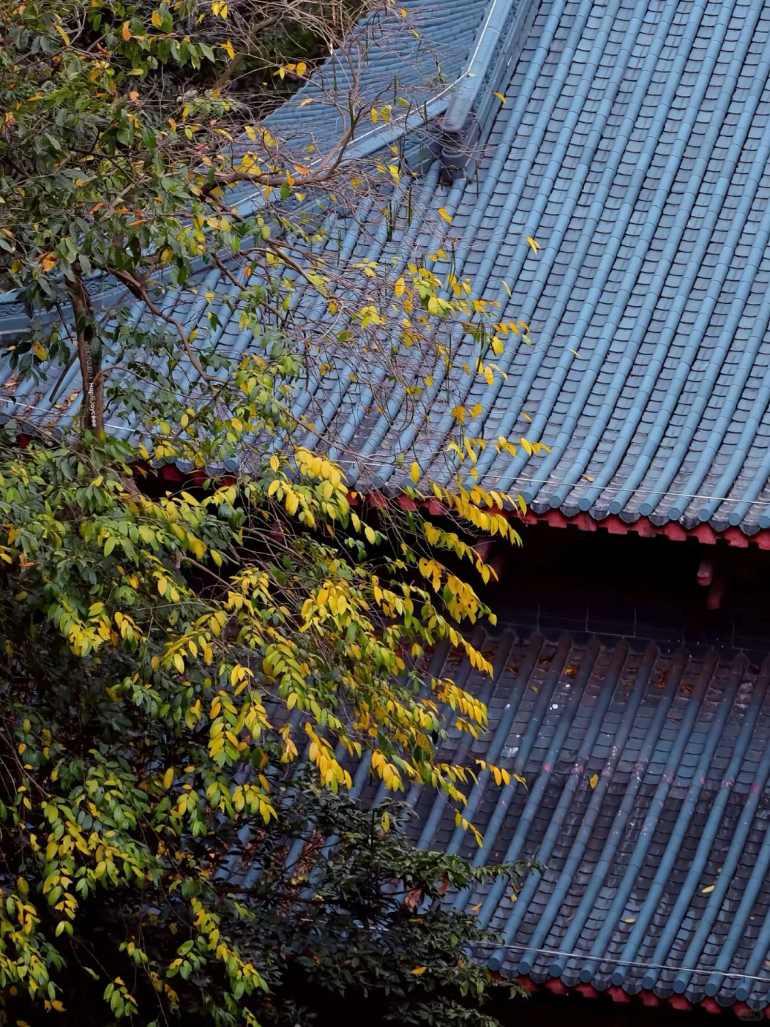 清远宝藏级旅行地丨一篇搞定！建议收藏