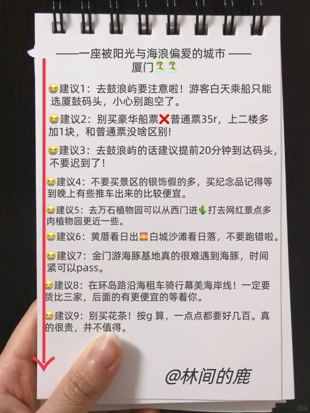 厦门以回❗️❗️连夜整理的厦门攻略（加强版）