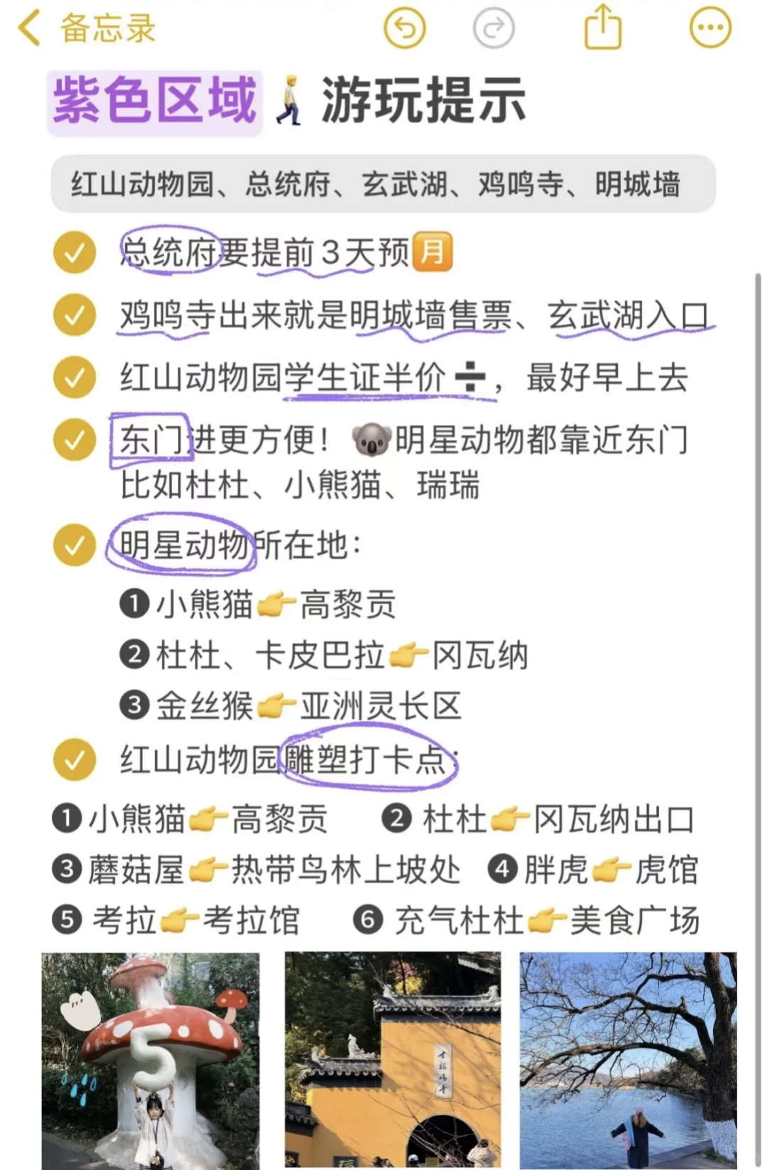 南京旅游👋绘全攻略‼️本地人总结！！