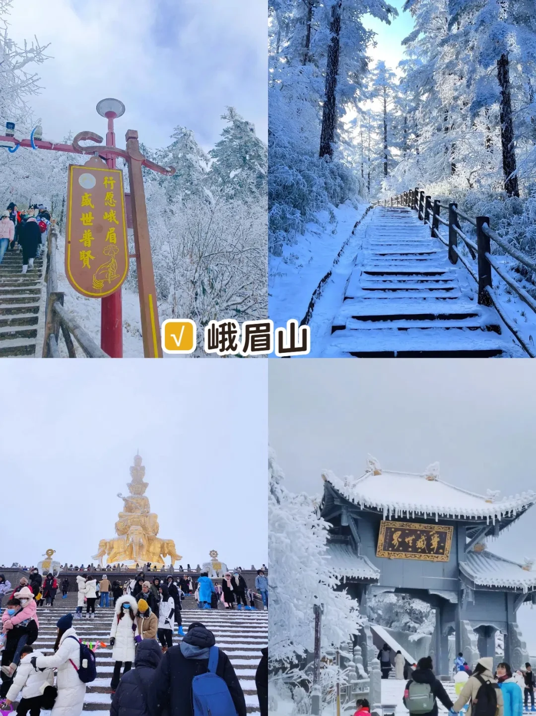 MYCN 成都跟团七天六晚人均 1.8 K攻略