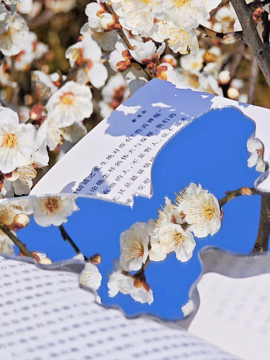 免费‼️南京这里的梅花即将花开成海