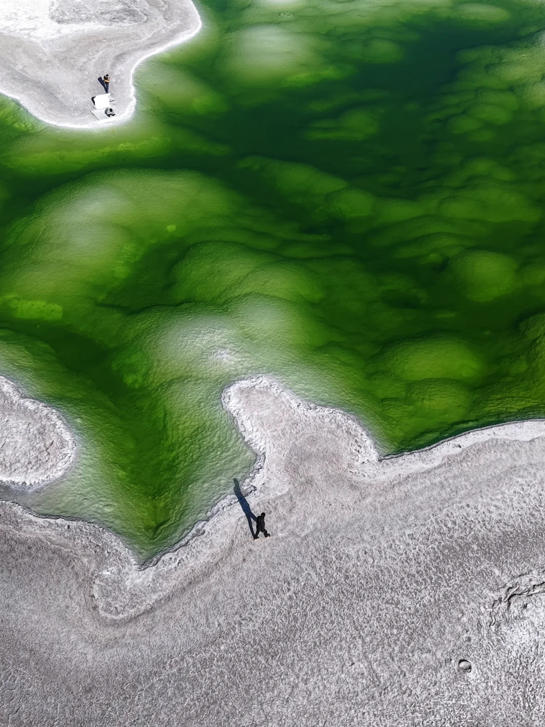 🔥去了大西北刚回来—旅游攻略干货