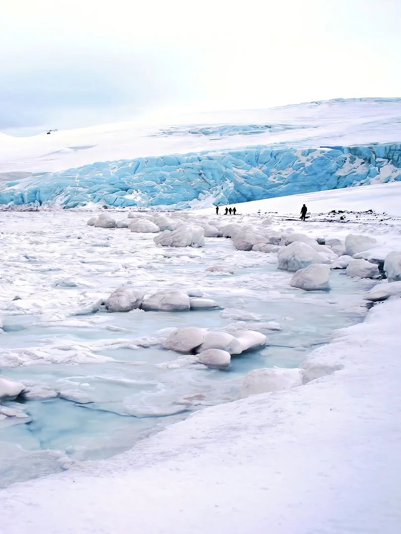 南极没想象中那么贵！去一趟真实花💰费清单