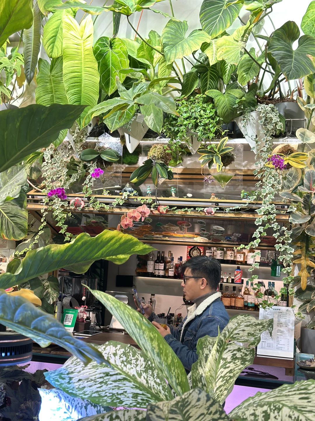 旅游攻略🎫广州华南植物园门票！可当现金用！