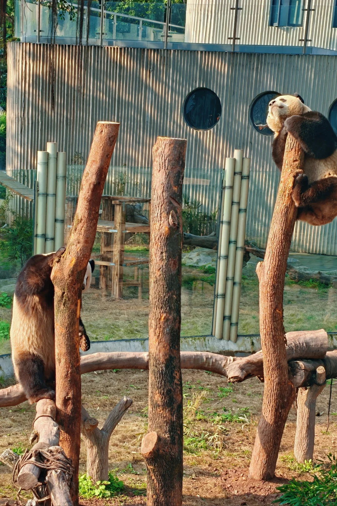 三月想去重庆旅游的宝子看过来!🍲