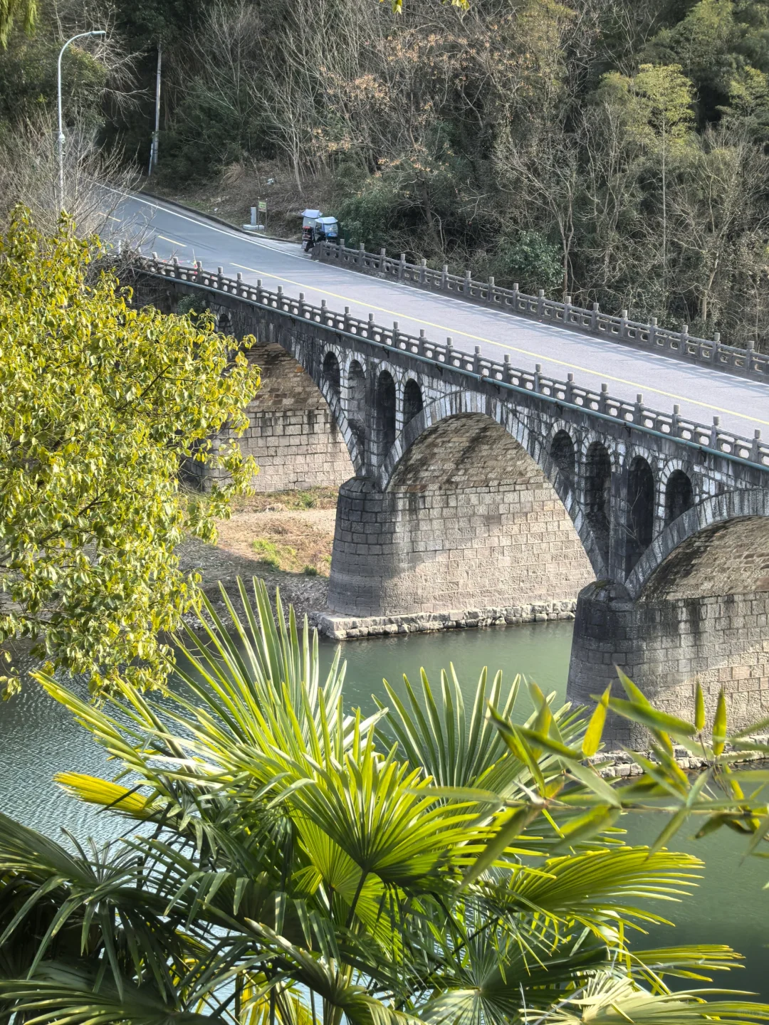 浙江绍兴|柯桥香雪梅海