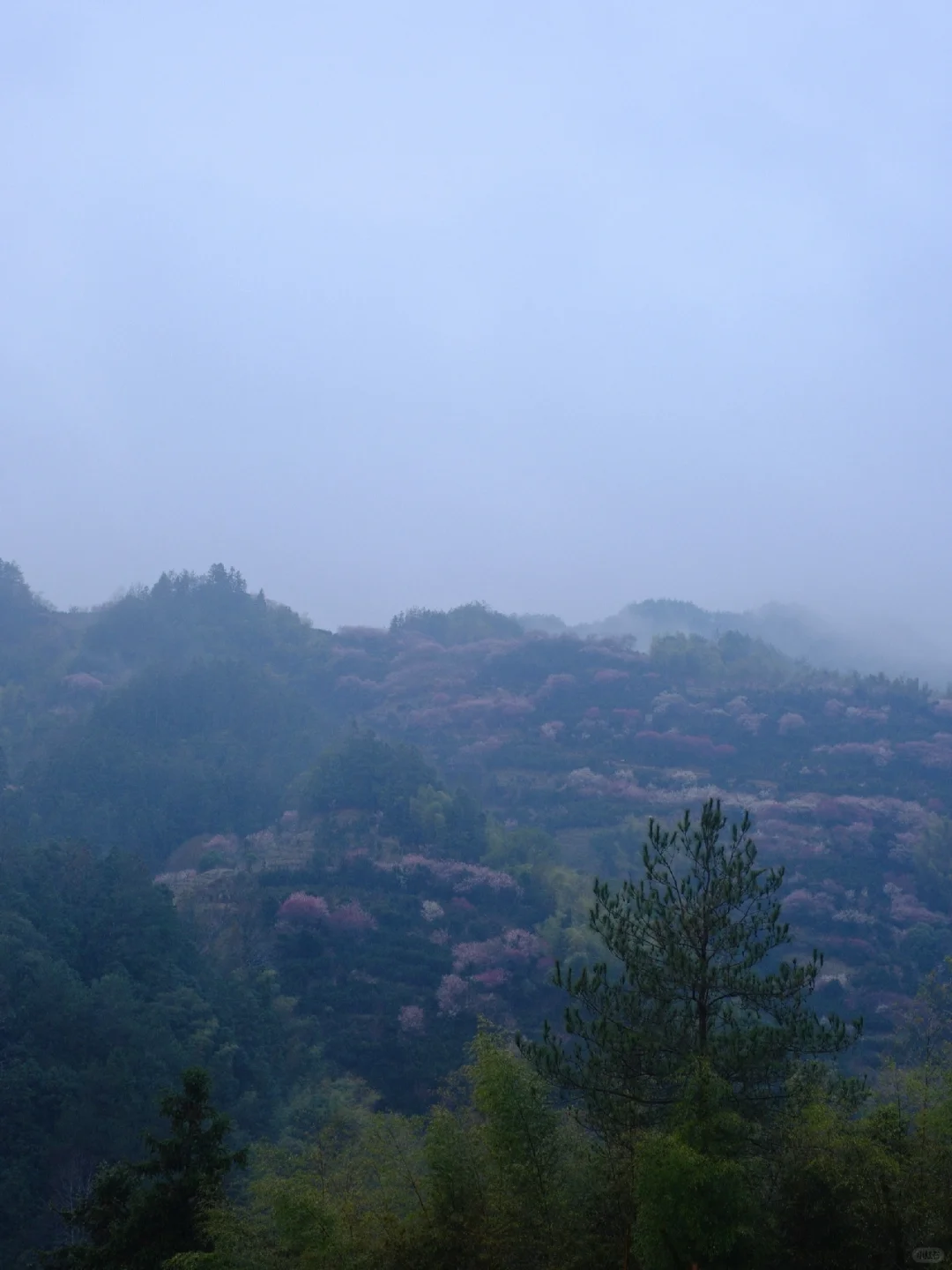 早春的徽州真的很美