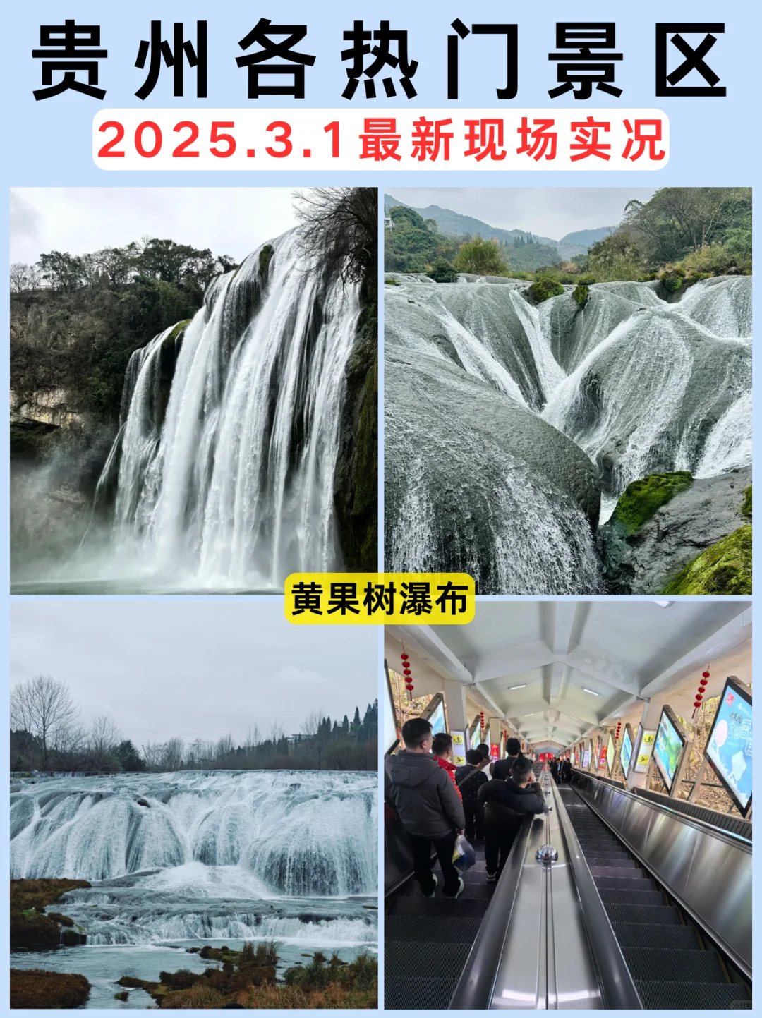 🌸【3月1日贵州热门景区实况】🌸