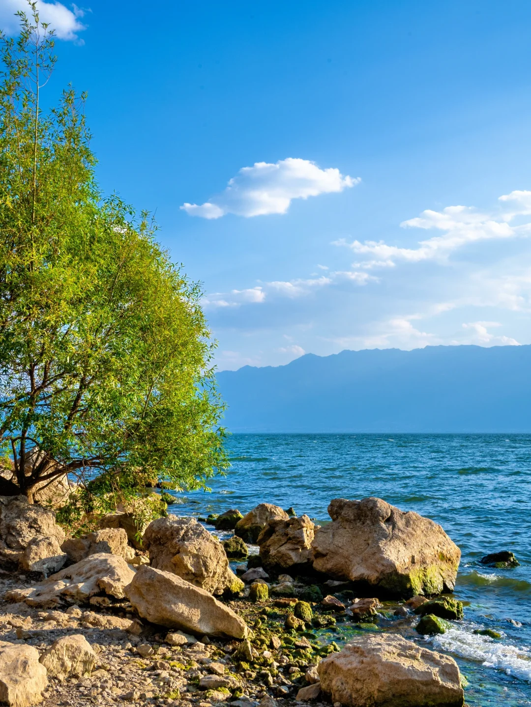 淡季的大理简直是人间理想！！美到封神！！！