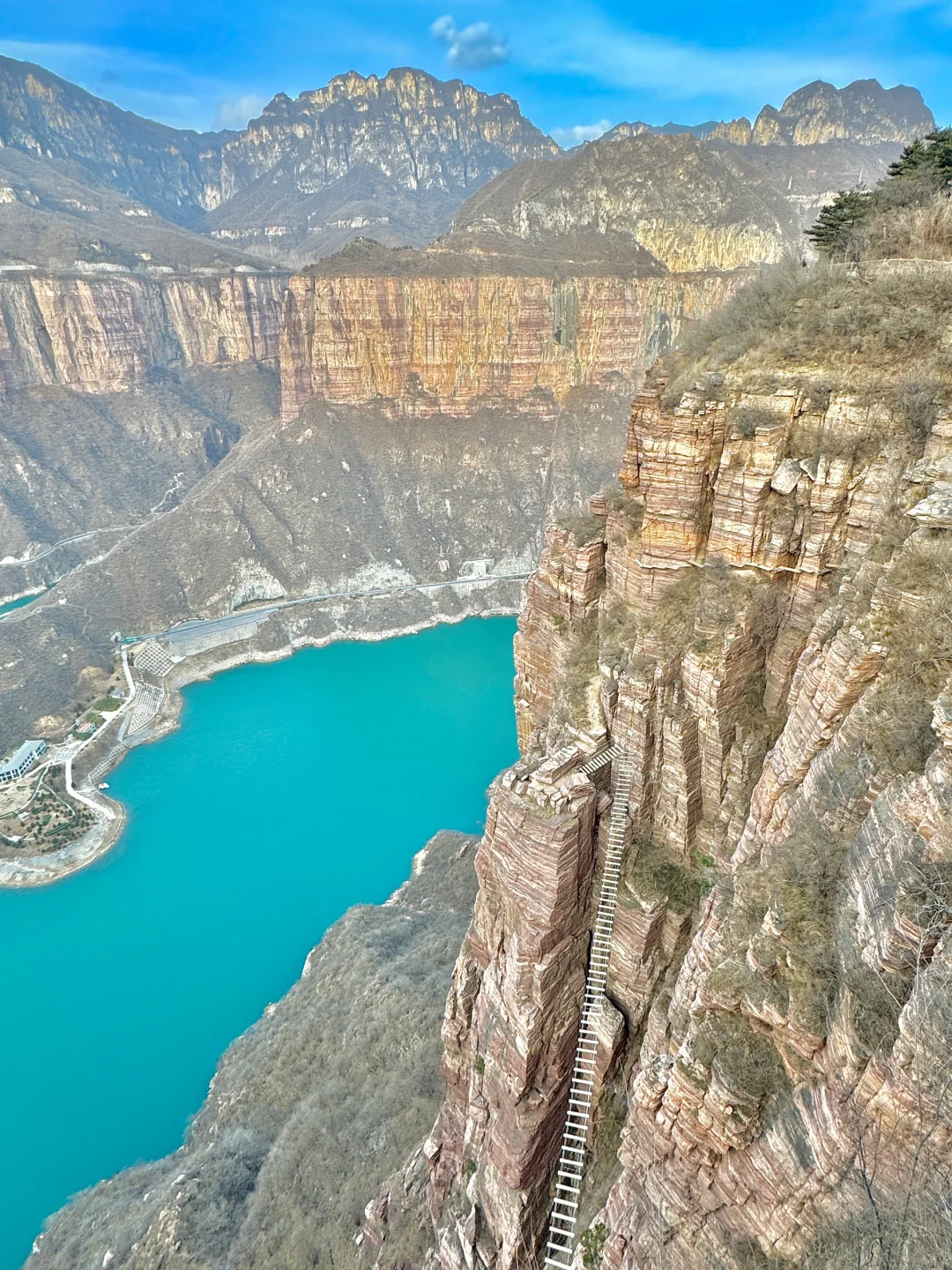 不愧是河南啊‼️给我一整个震撼住了........