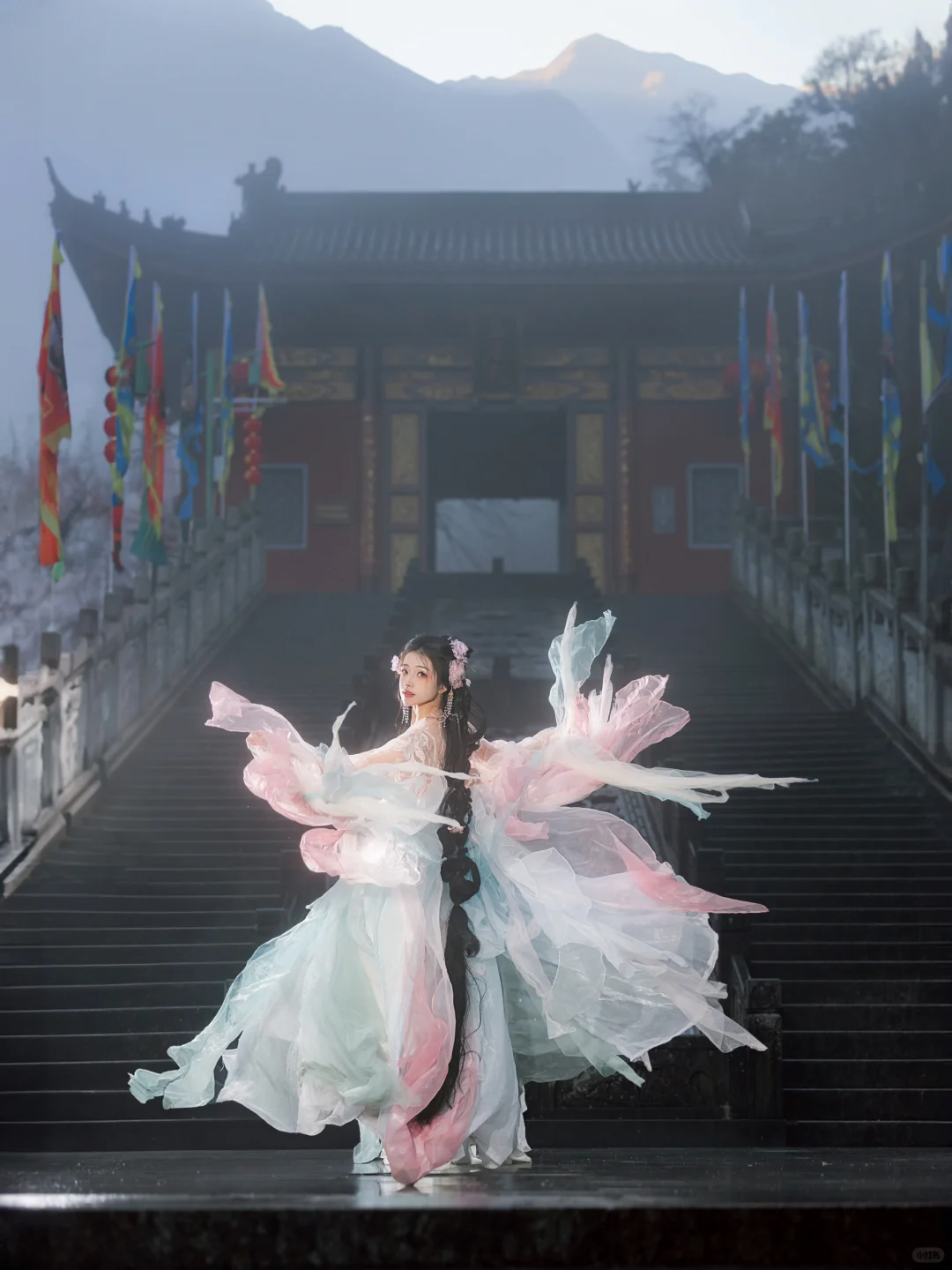 “风有约，花不误”仿佛来了梅花乡