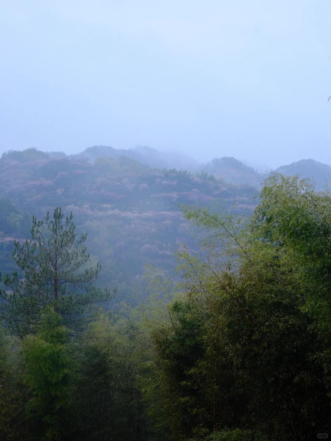 早春的徽州真的很美