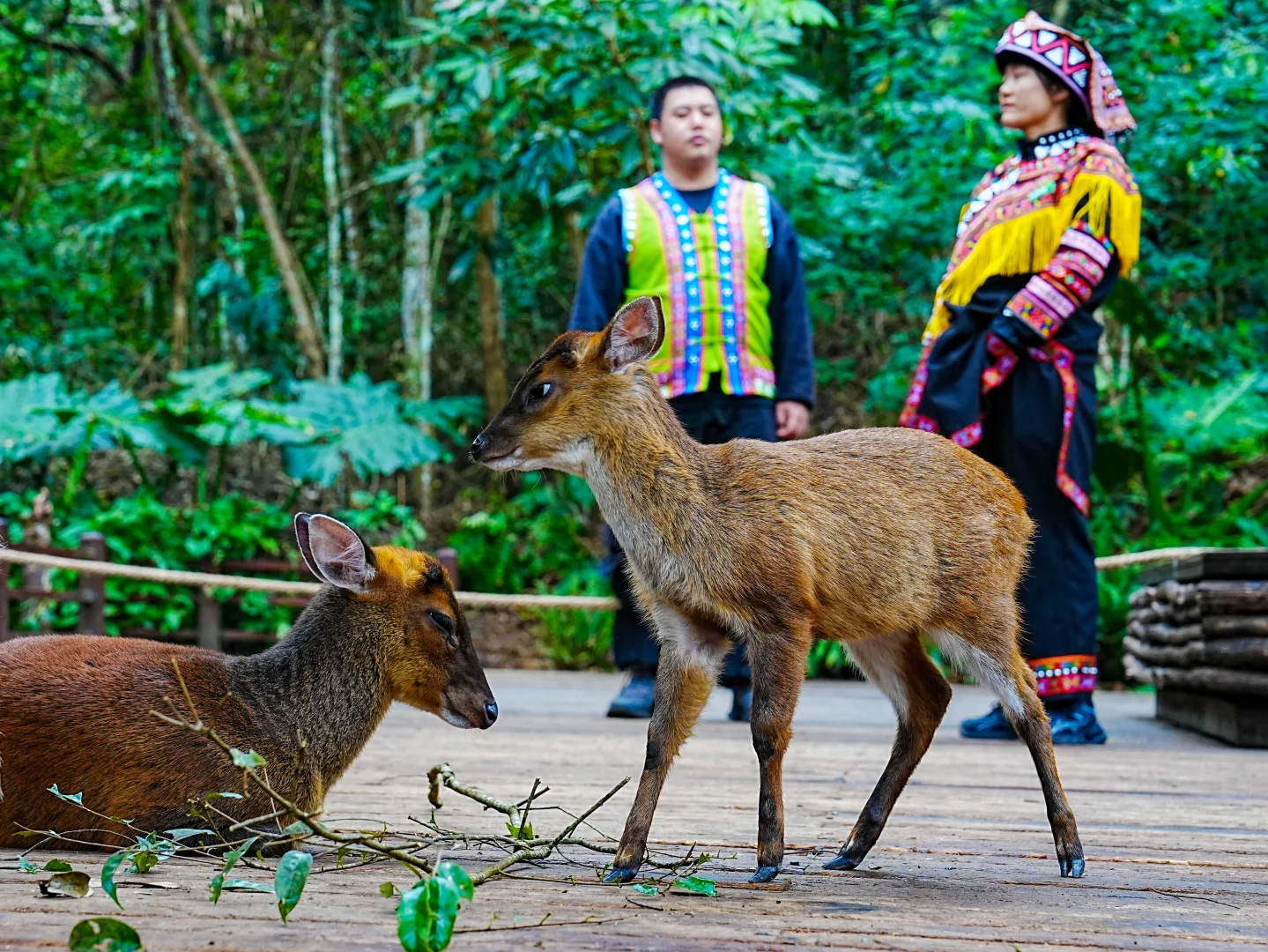 普洱和版纳已回，还没来的姐妹，挺点大实话