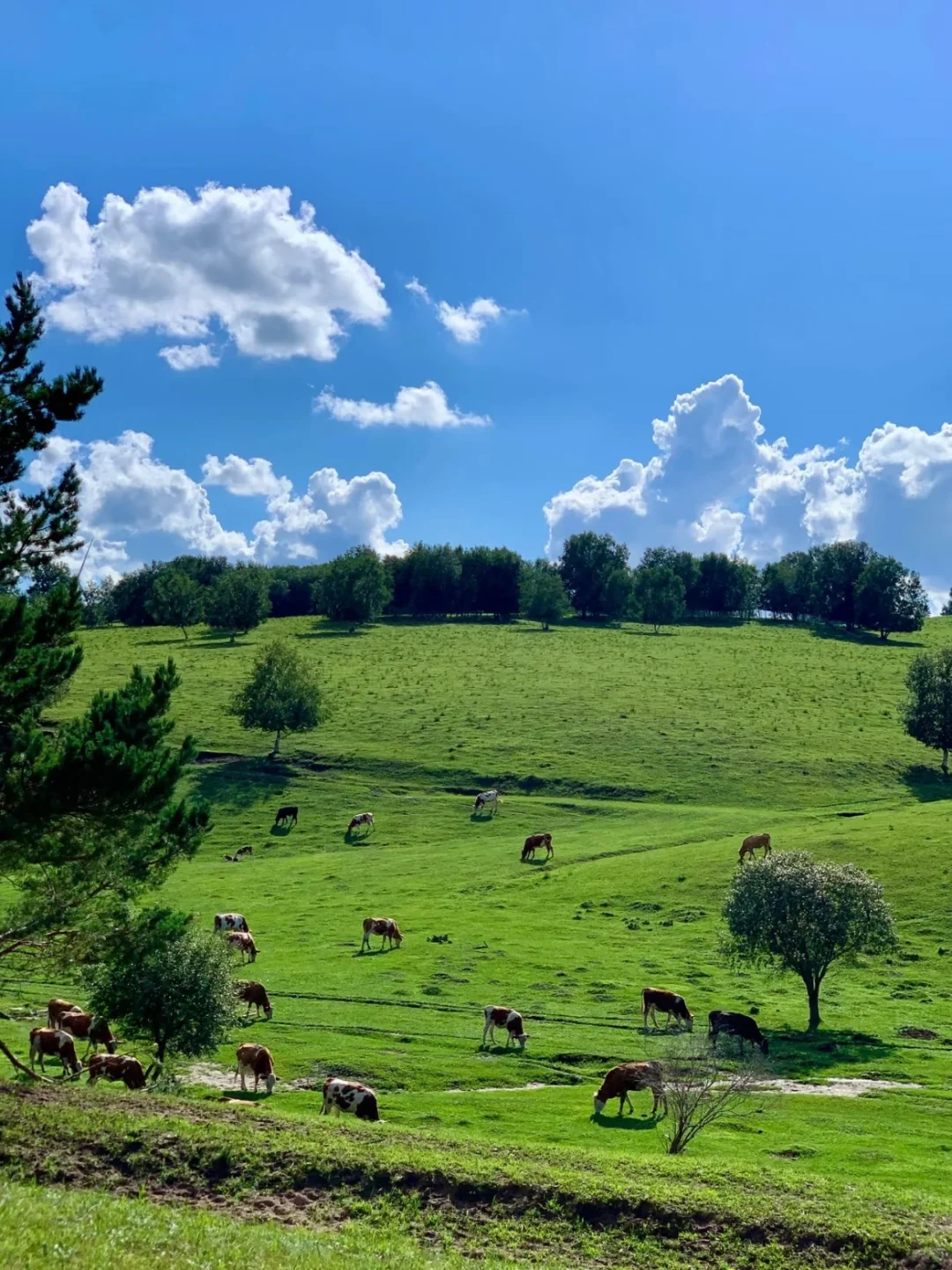 能劝一个是一个，3-5月不要盲目去内蒙古……
