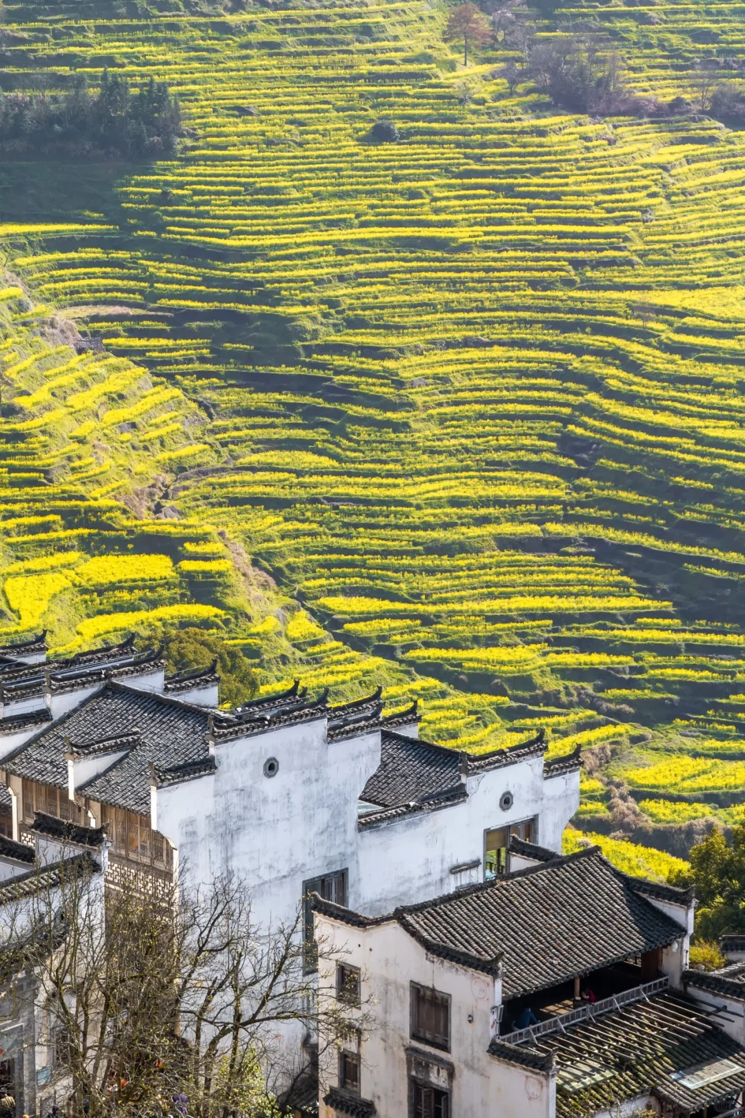 比起景德镇，我更爱这被国家地理推荐的小城