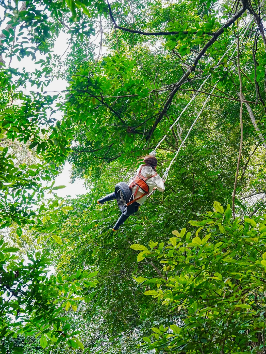 普洱和版纳已回，还没来的姐妹，挺点大实话