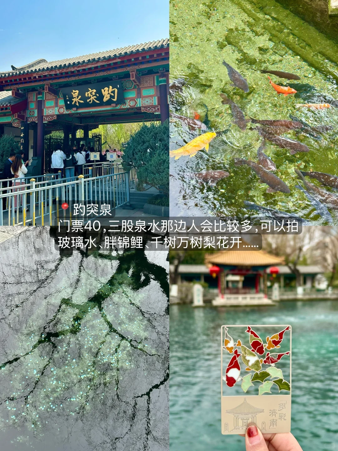 济南会惩罚每个不做攻略的人……（2025最新版