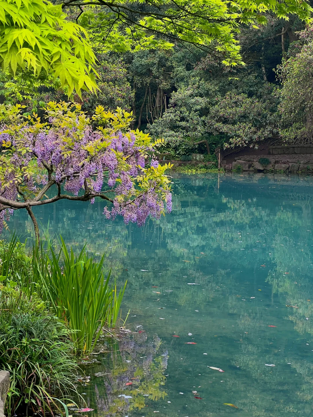 以为西湖已经够美了，直到我去了…🌿