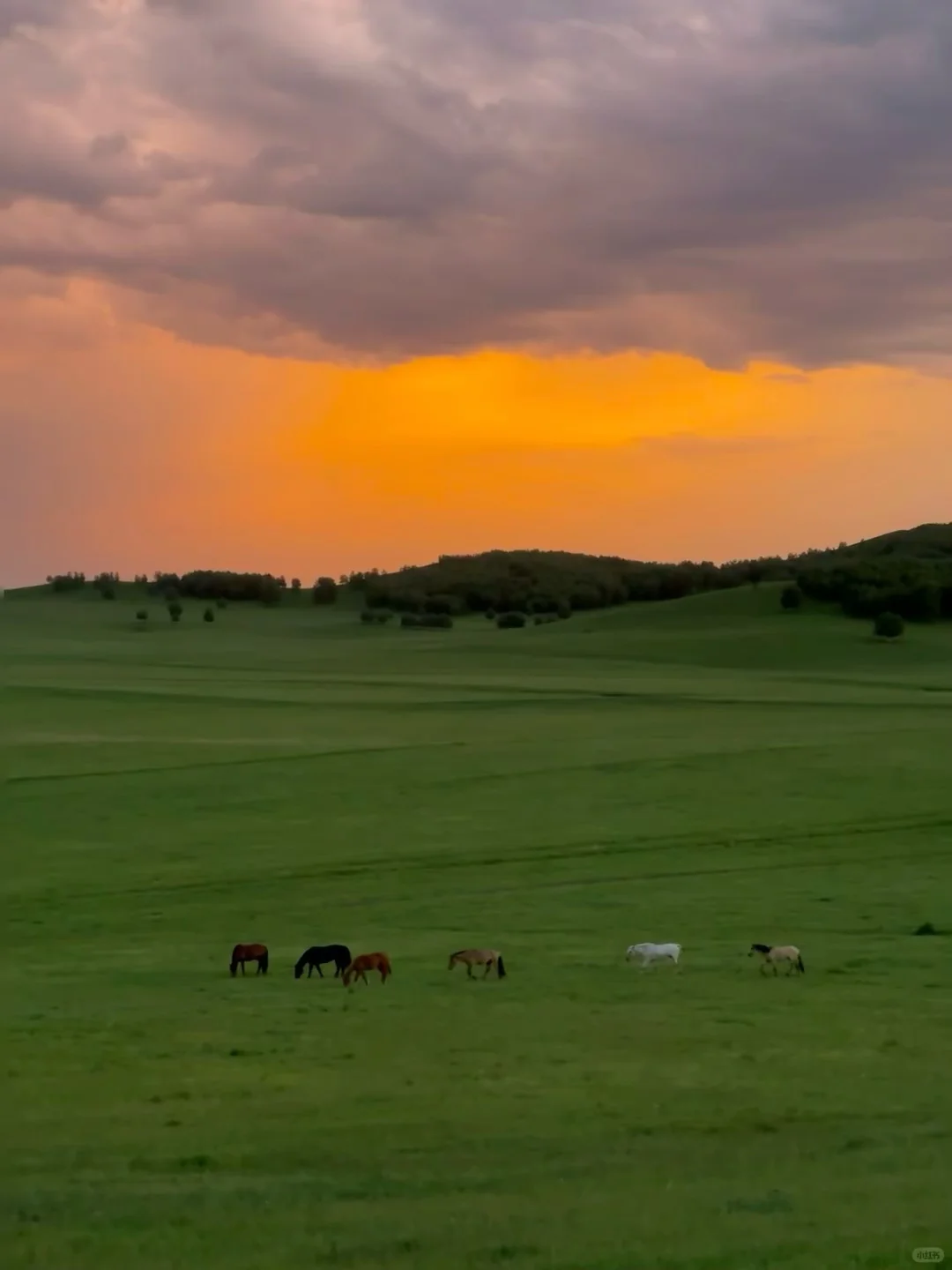 能劝一个是一个，3-5月不要盲目去内蒙古……