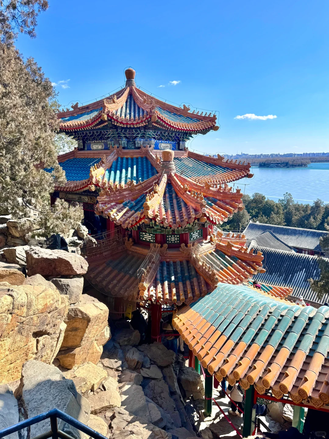 上周日的颐和园真的美晕了