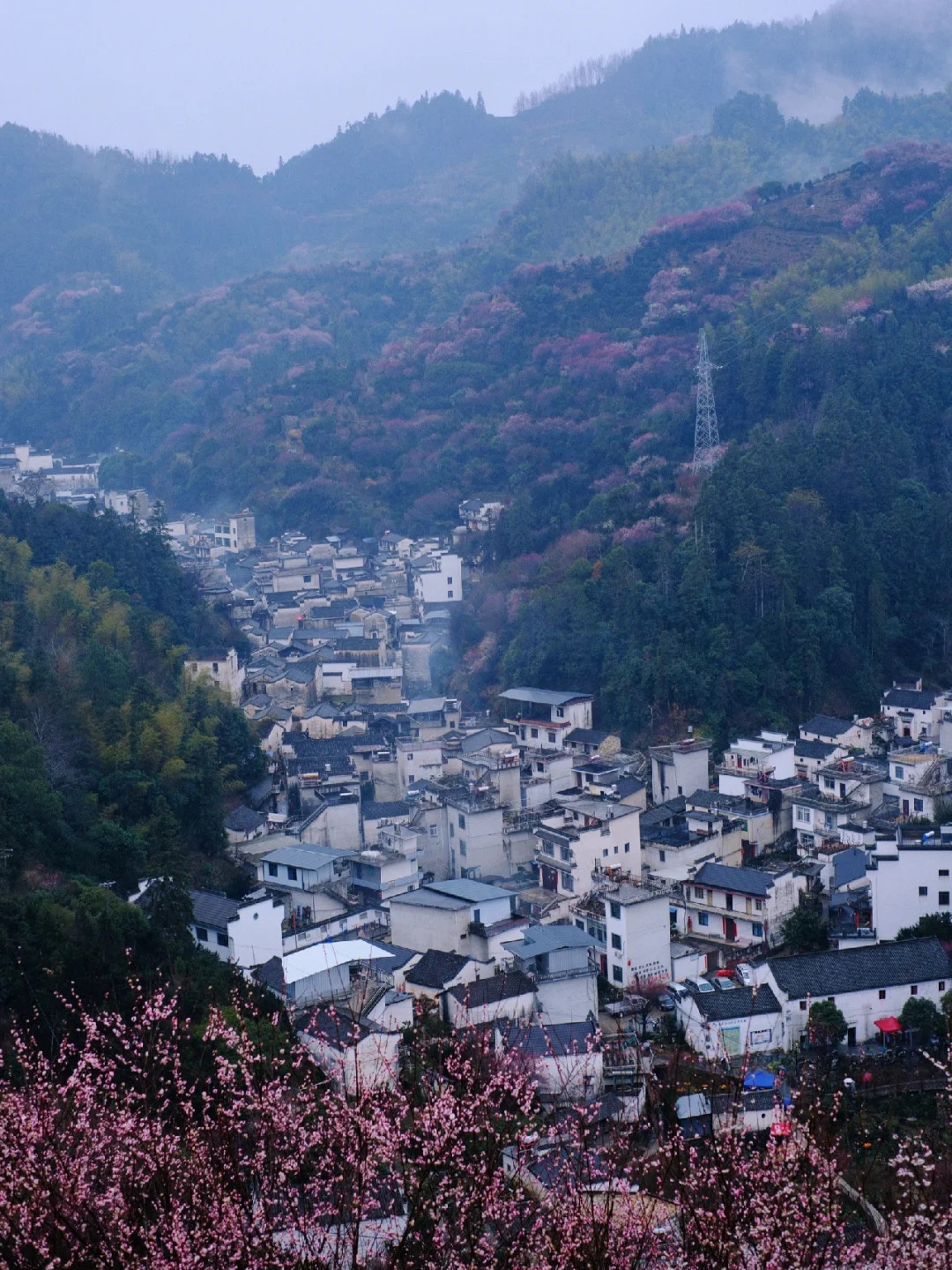 早春的徽州真的很美