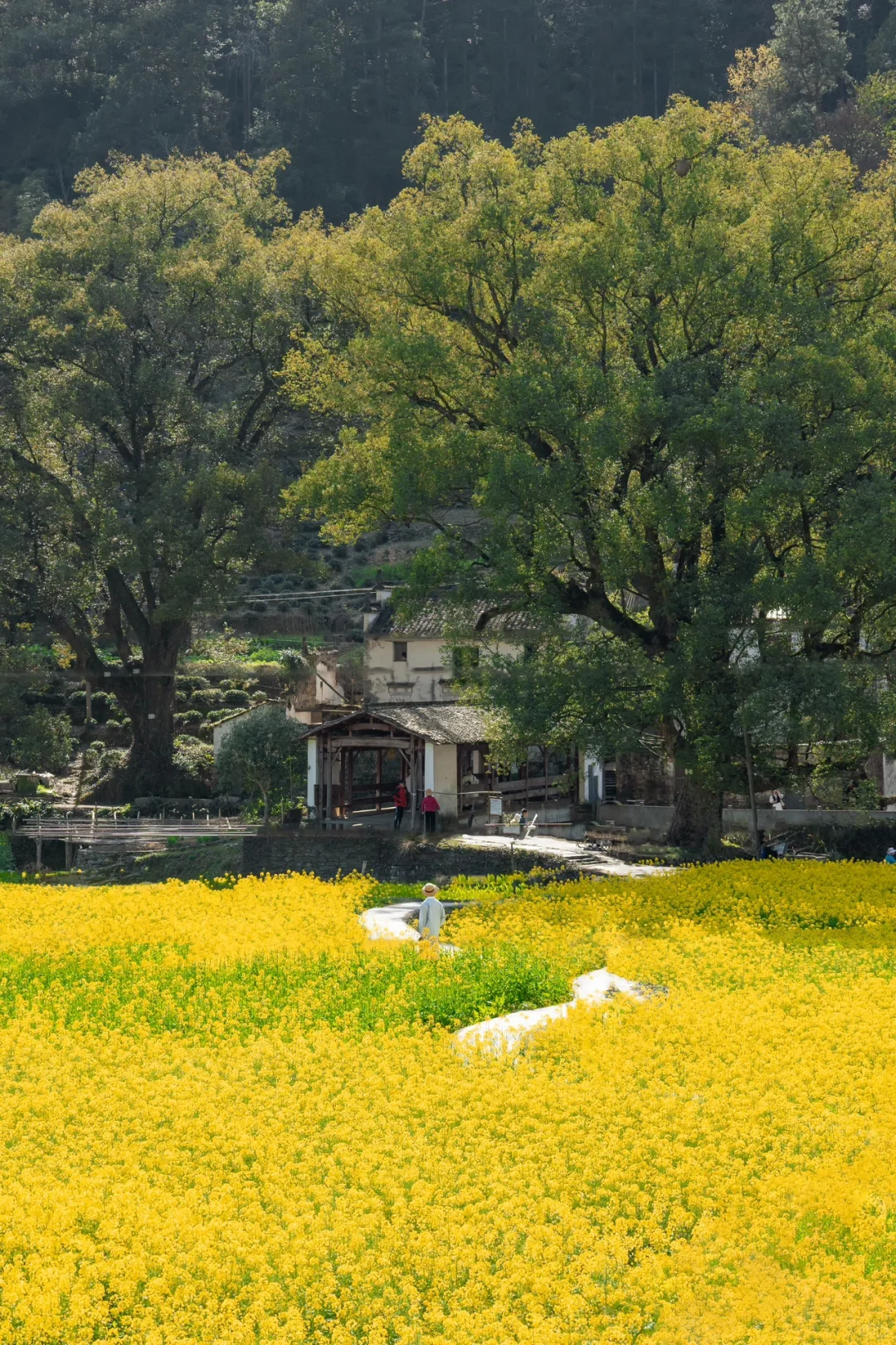 比起景德镇，我更爱这被国家地理推荐的小城