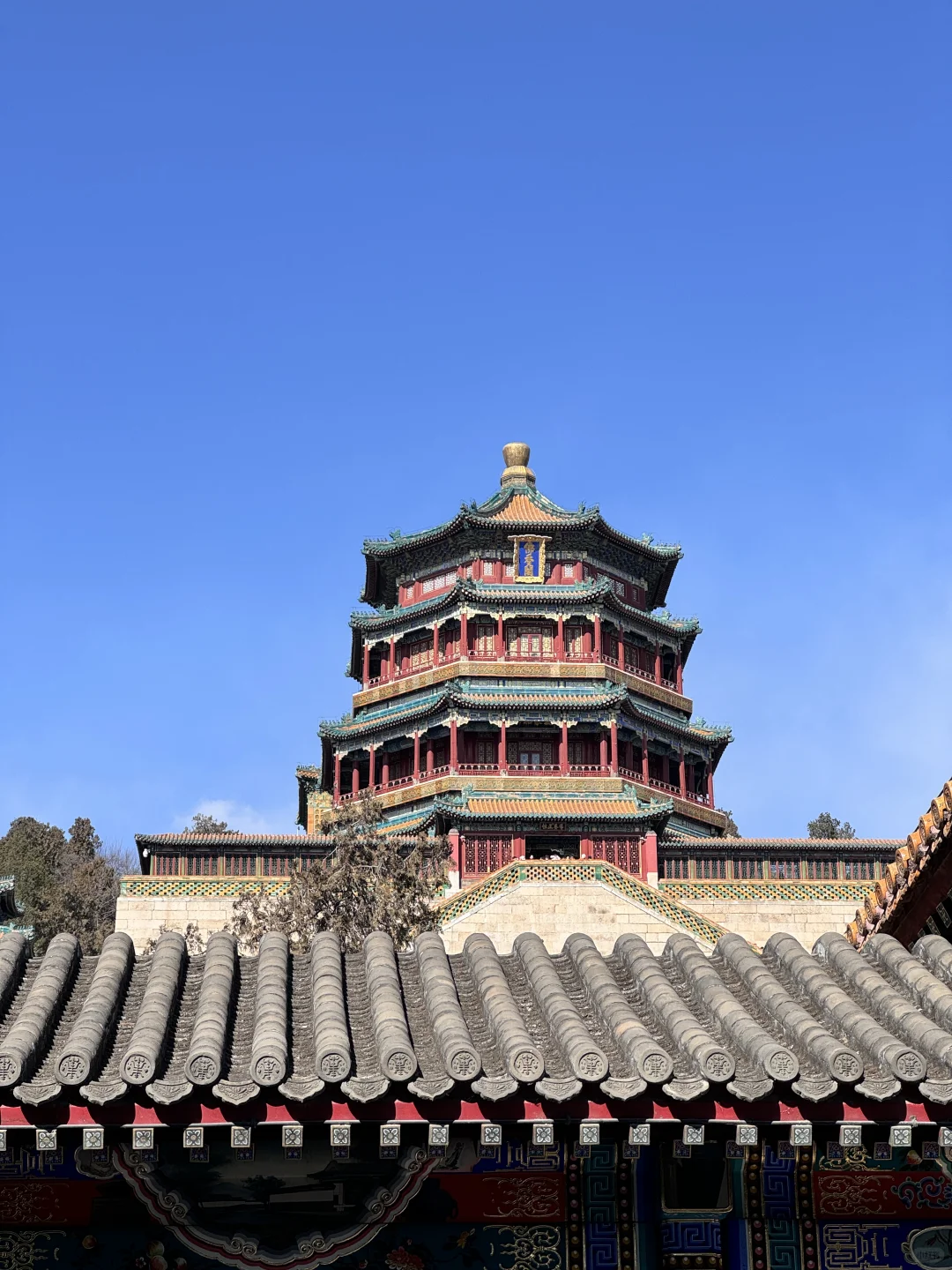 上周日的颐和园真的美晕了