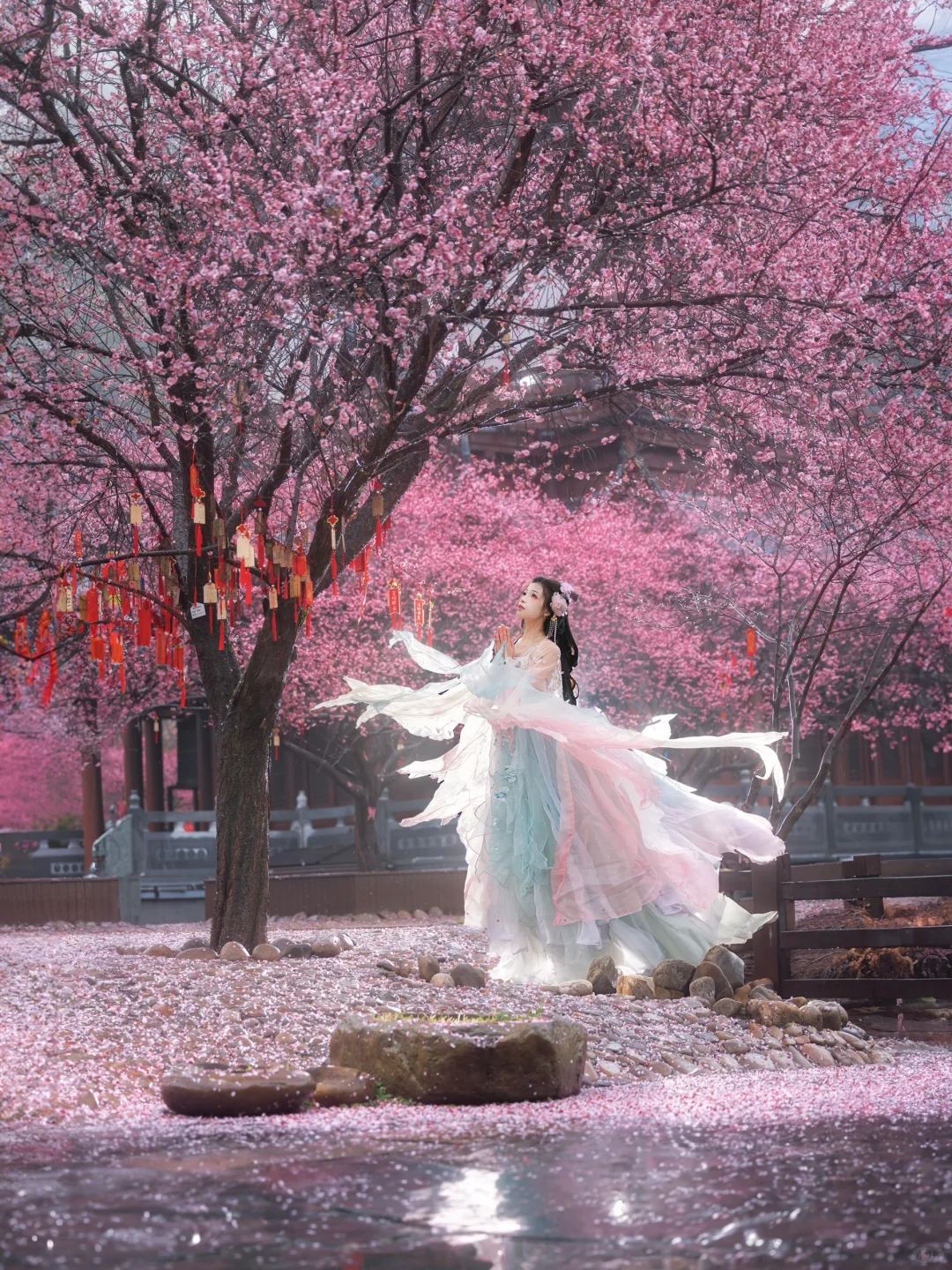 “风有约，花不误”仿佛来了梅花乡